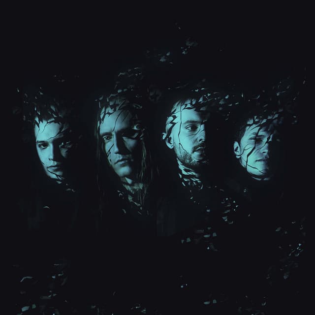 Space Of Variations's artist profile image