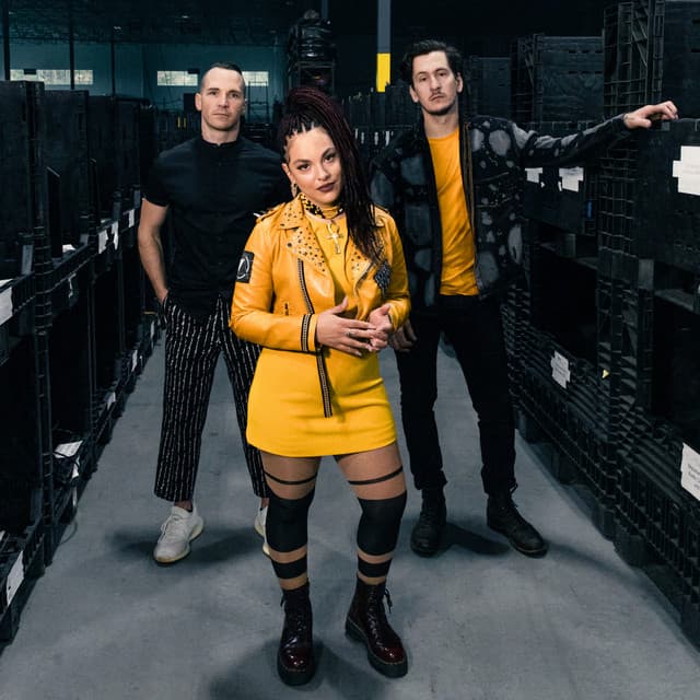 VERIDIA artist profile image