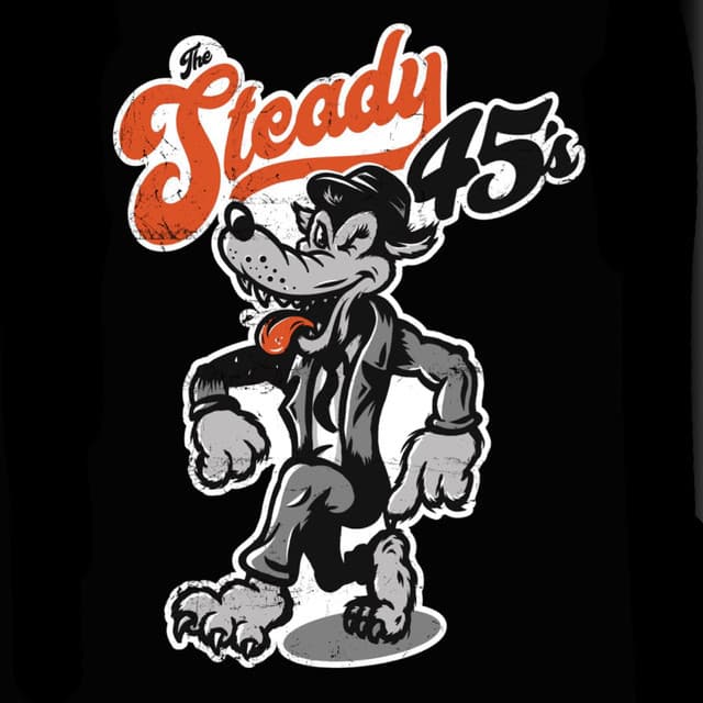 The Steady 45's artist profile image