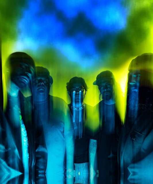 The Guadaloops artist profile image