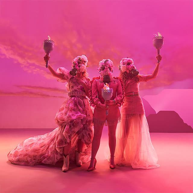 The Chicks's artist profile image
