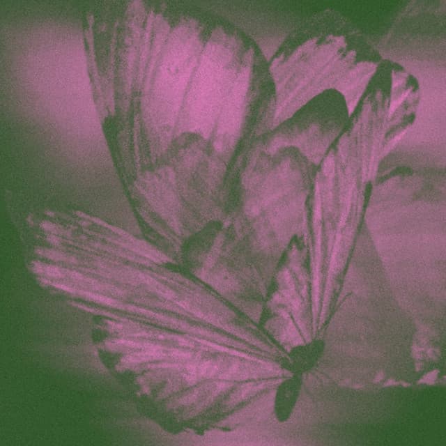 The Fretless artist profile image