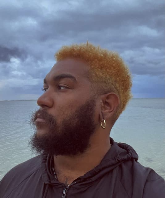 Zamba artist profile image