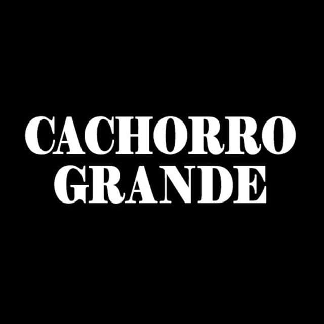 Cachorro Grande artist profile image