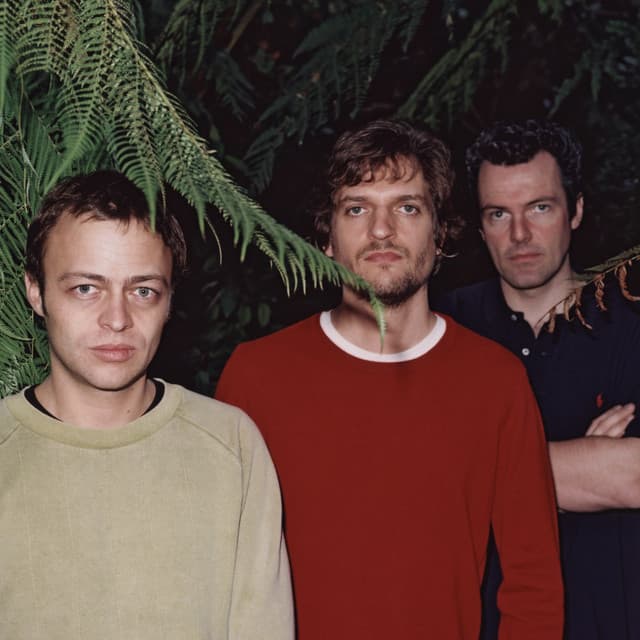 Trüby Trio artist profile image