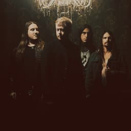Shallow Side's artist profile image