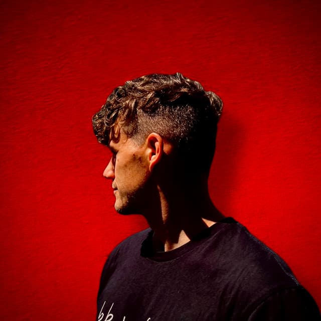 Rex Hooligan artist profile image