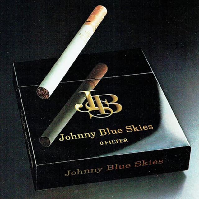 Johnny Blue Skies artist profile image