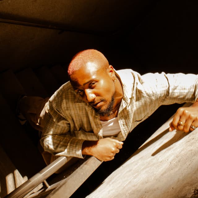 chromonicci artist profile image