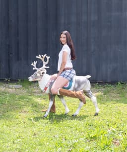 Julia Wolf's artist profile image