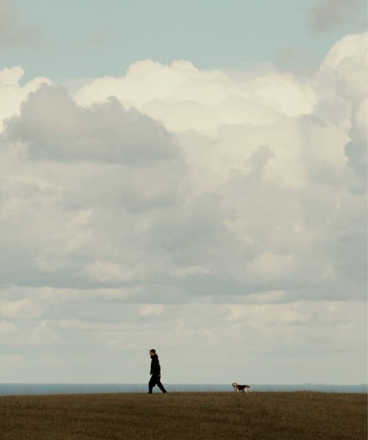 Flughand artist profile image