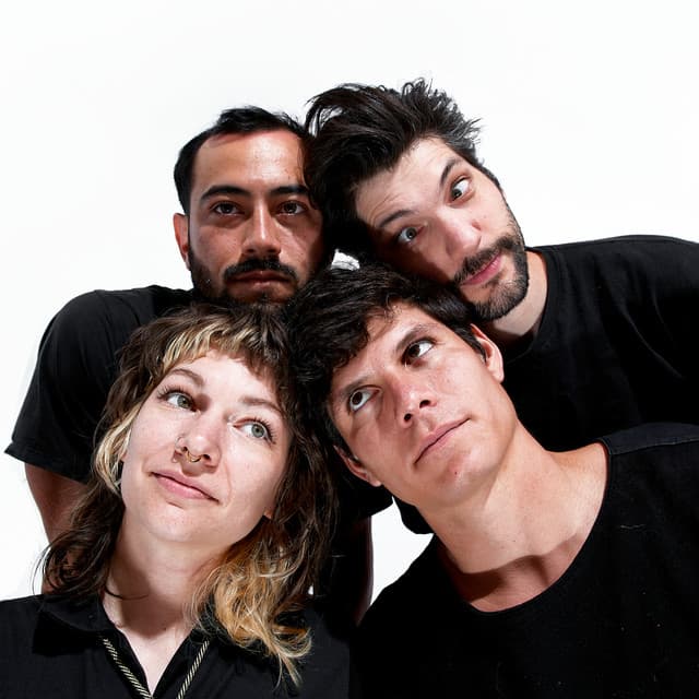 Pet Lizard's artist profile image