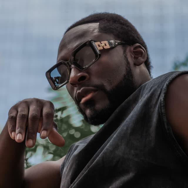 Panther artist profile image