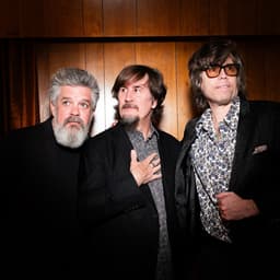 The Mountain Goats's artist profile image