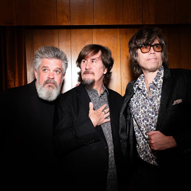 The Mountain Goats's artist profile image