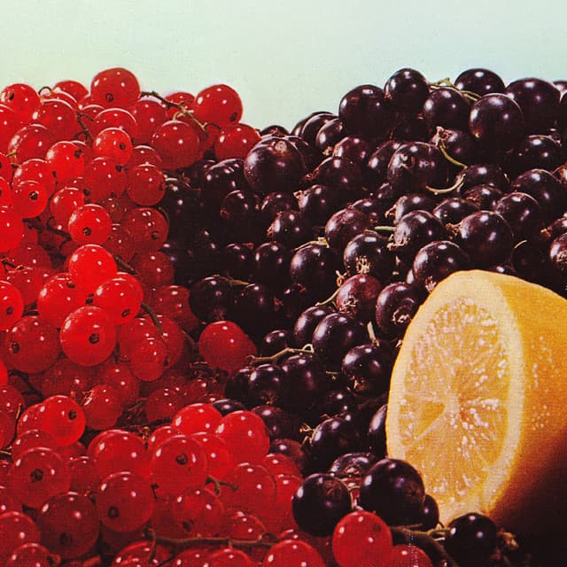 Zahn artist profile image