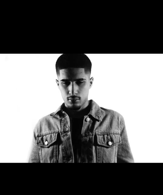 fakemink artist profile