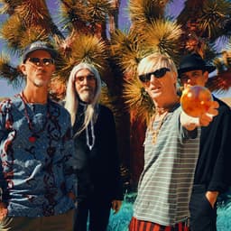 Kula Shaker's artist profile image