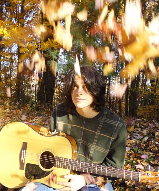 adolescent dreams artist profile image
