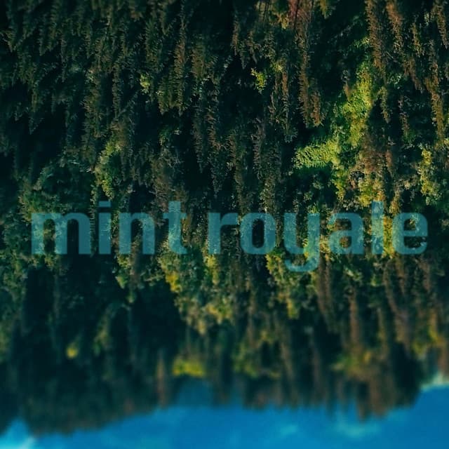 Mint Royale artist profile image