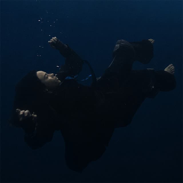 Billie Eilish's artist profile image