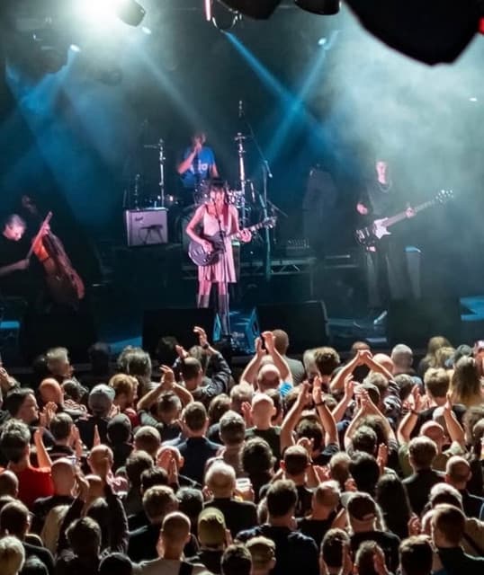 Throwing Muses artist profile image