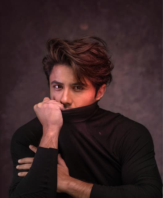 Ali Zafar artist profile image