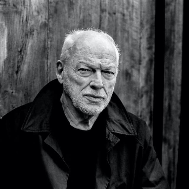 David Gilmour artist profile image