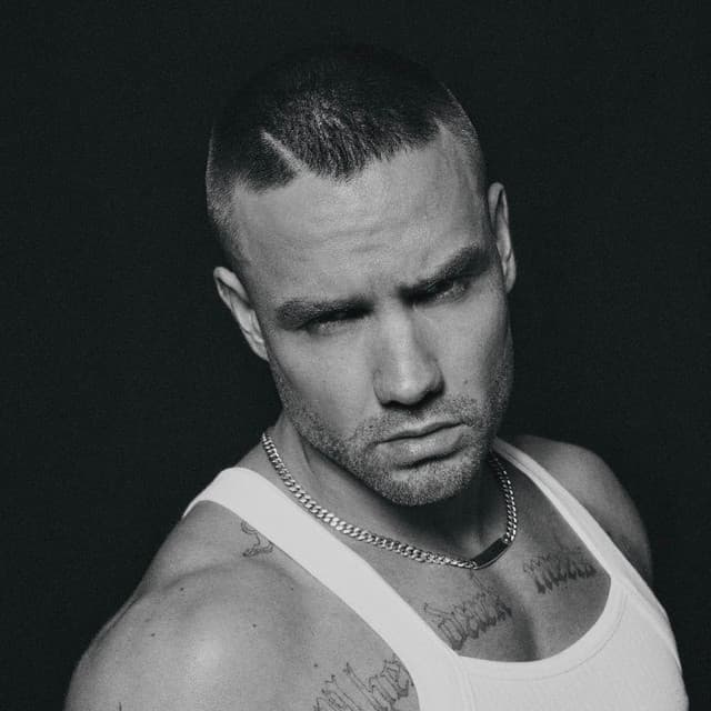 Liam Payne artist profile image