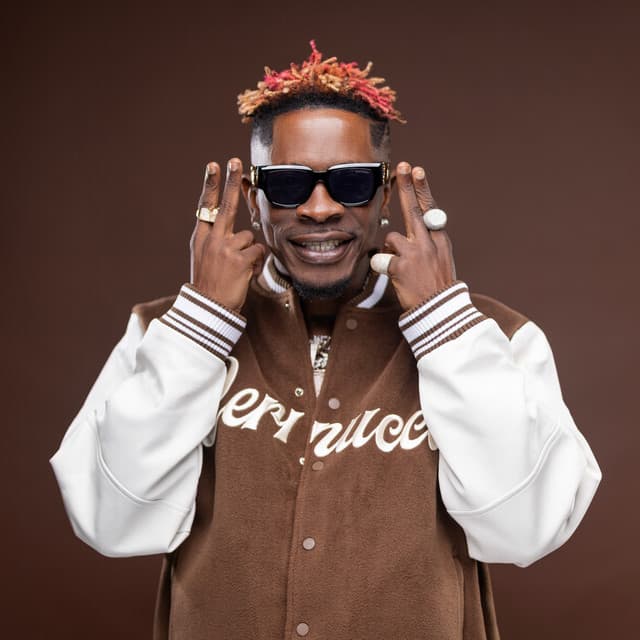 Shatta Wale's artist profile image