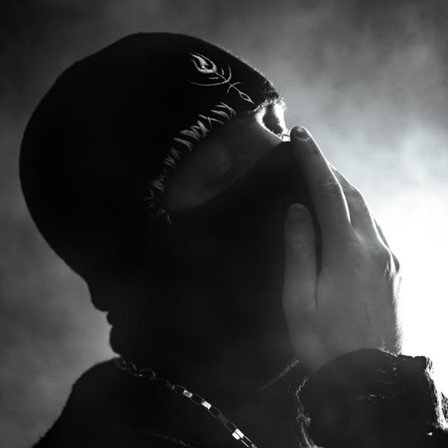 Phrva's artist profile image