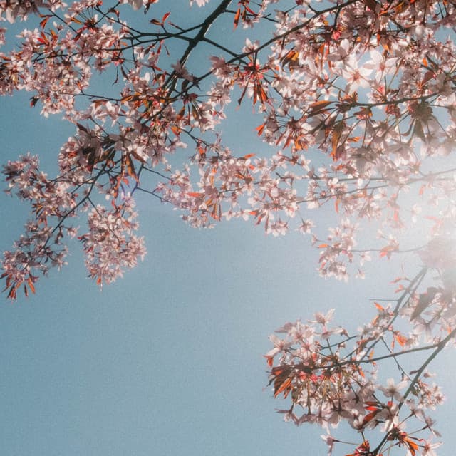 Paper Planes artist profile image