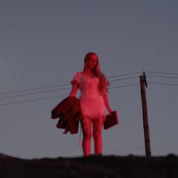 Brooke Williams's artist profile image