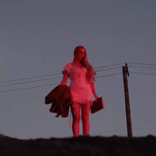 Brooke Williams artist profile image