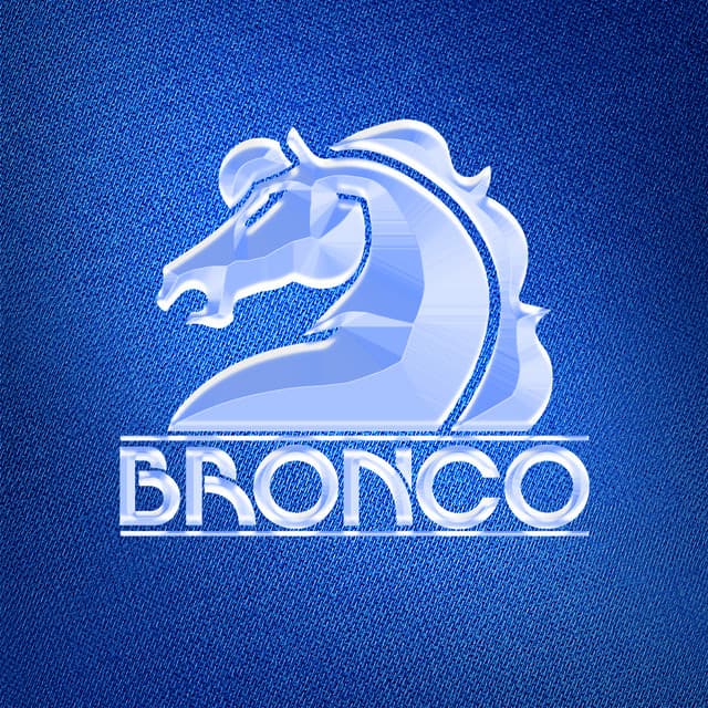 Bronco artist profile image