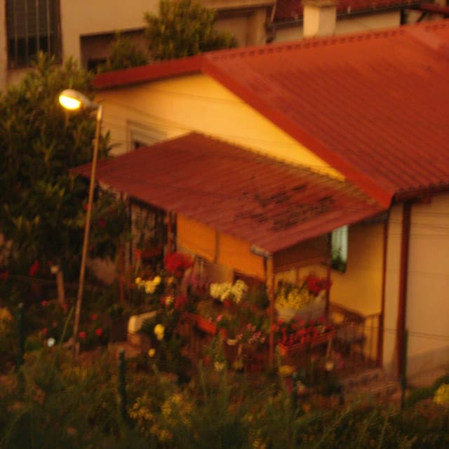 porch kiss artist profile image