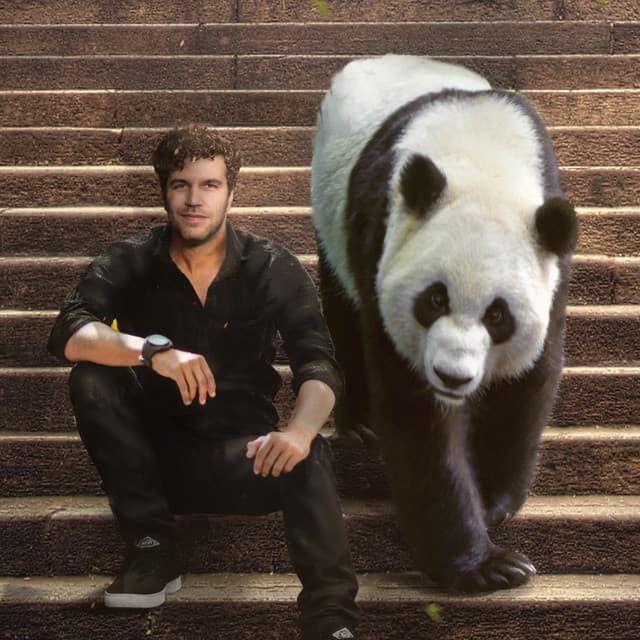 Viva La Panda artist profile image