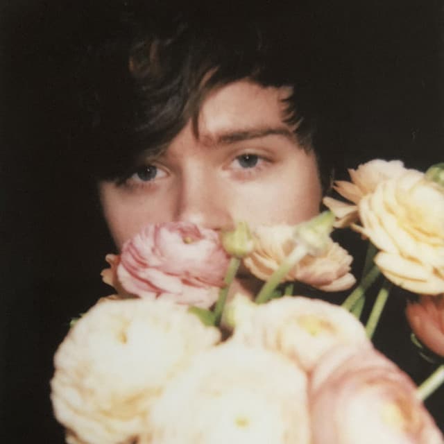 Foxes In Fiction's artist profile image