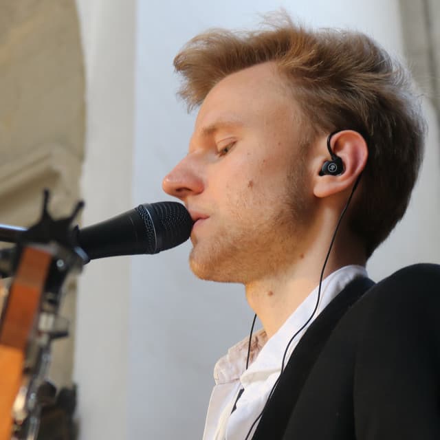 Alessandro Stradella artist profile image