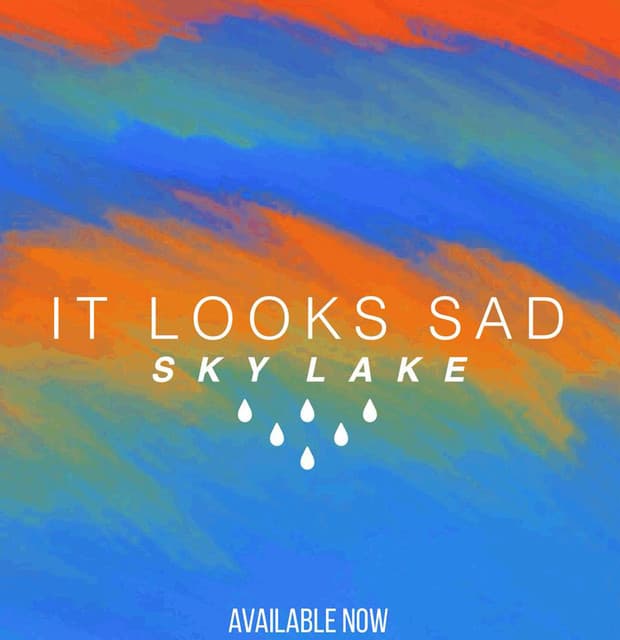 It Looks Sad. artist profile image