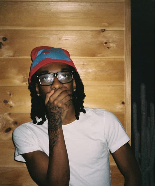 Protect artist profile image
