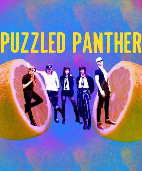Puzzled Panther artist profile image