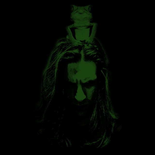 Phyllomedusa artist profile image