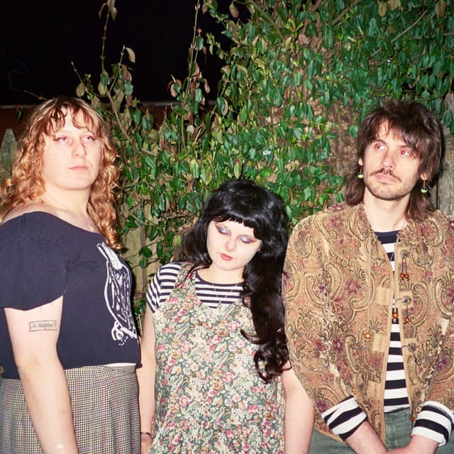 The Sonder Bombs artist profile image