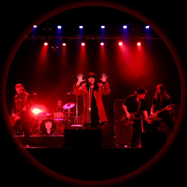 Ann Wilson artist profile image