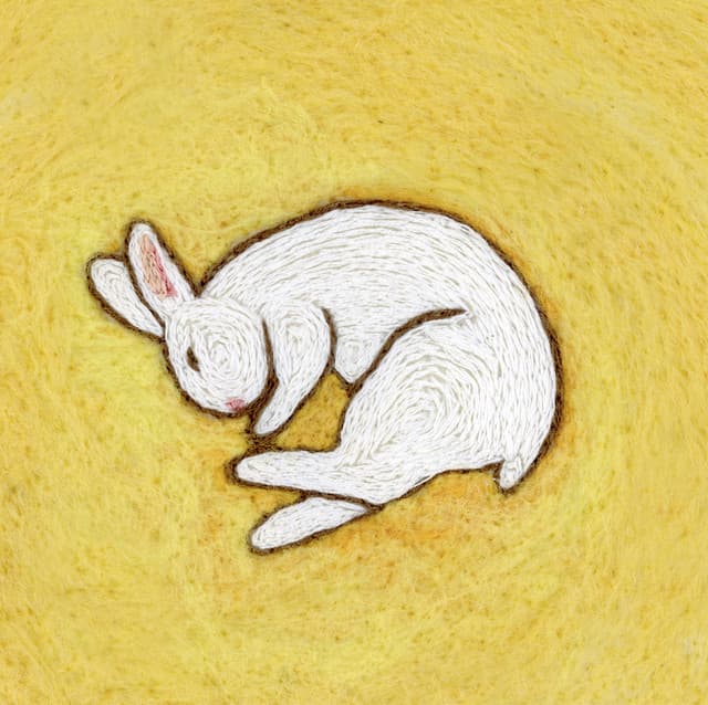 Your Arms Are My Cocoon's artist profile image