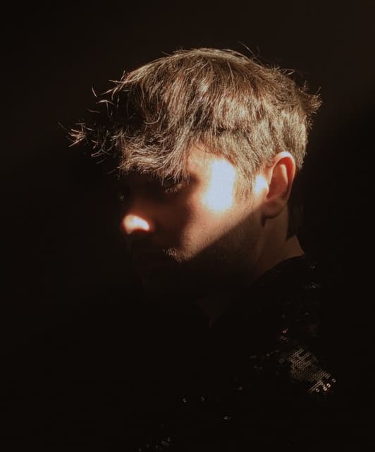 PVLN artist profile image