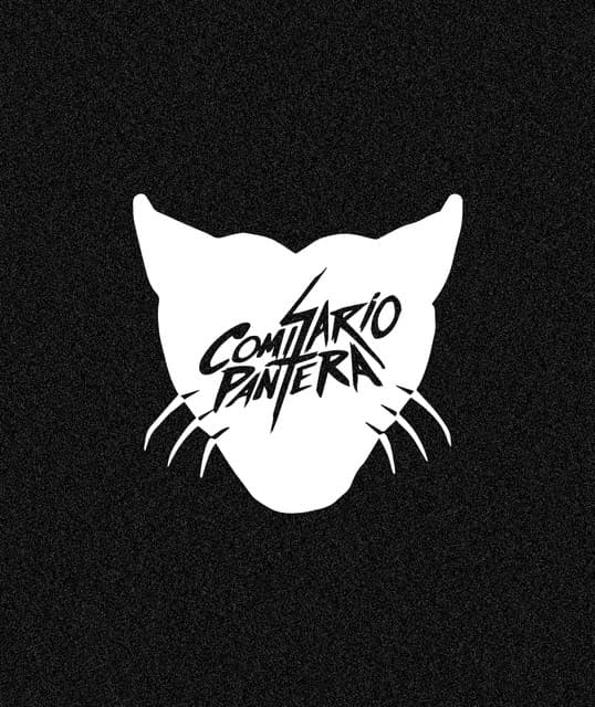 Comisario Pantera artist profile image