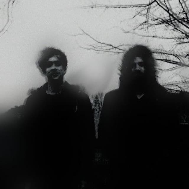 Azedia artist profile image