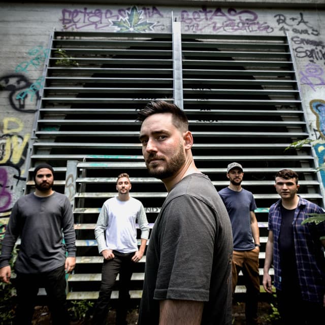 Meliorist artist profile image